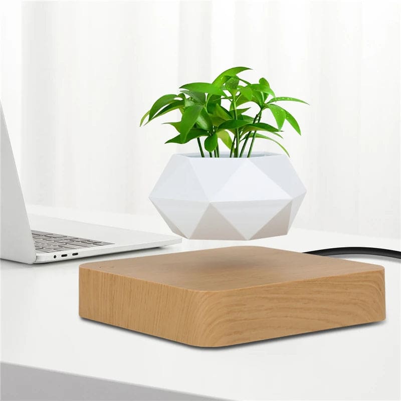 ZenFloat: Magnetic Levitating Planter