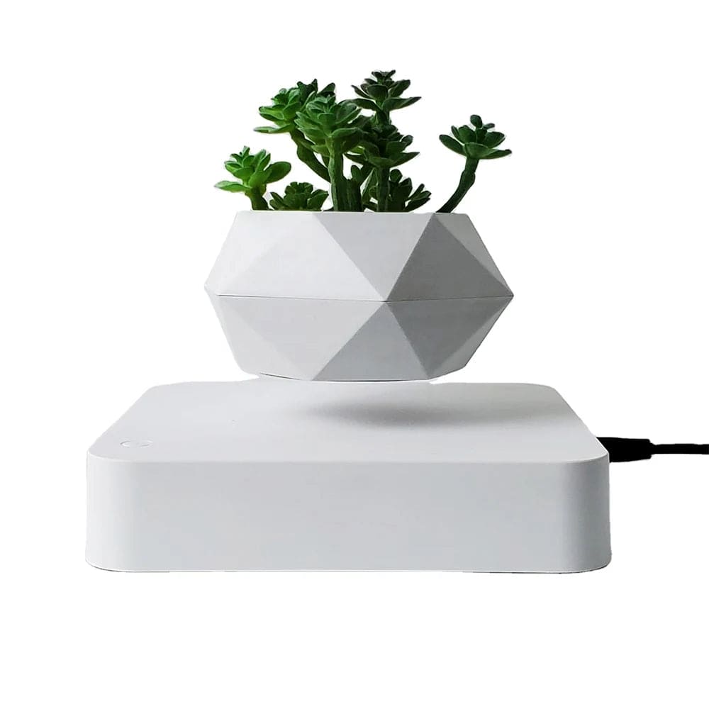 ZenFloat: Magnetic Levitating Planter