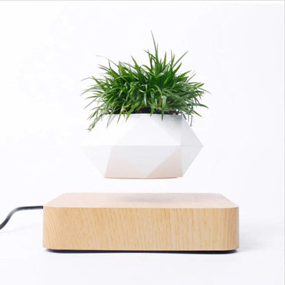 ZenFloat: Magnetic Levitating Planter