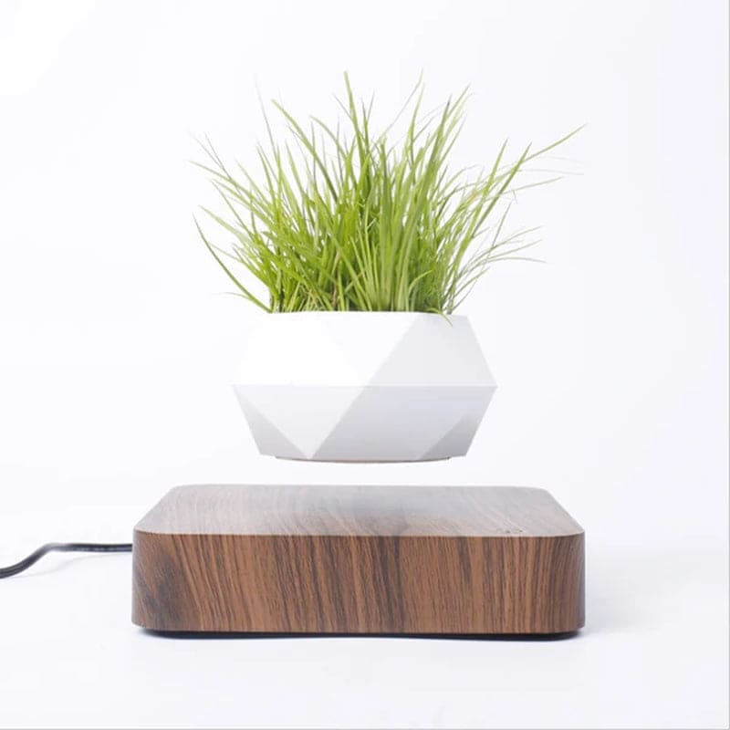 ZenFloat: Magnetic Levitating Planter