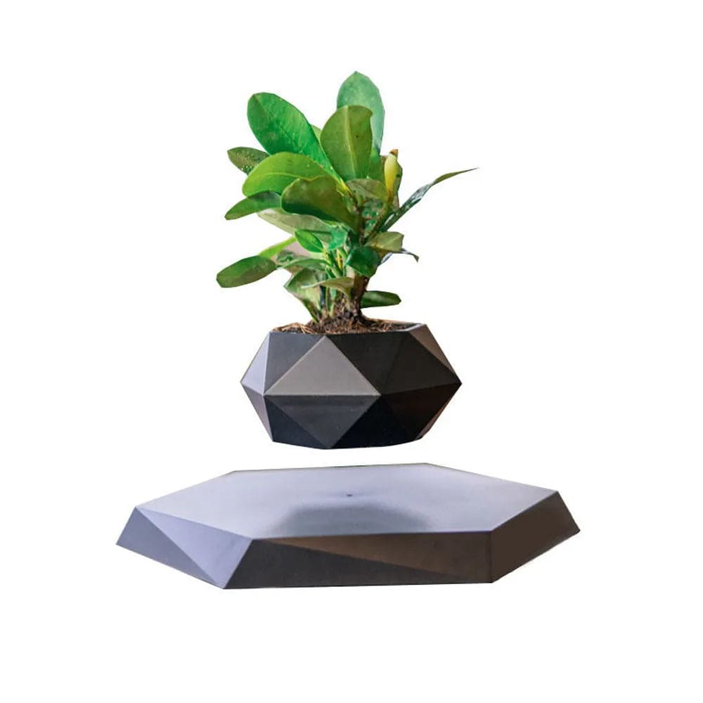 ZenFloat: Magnetic Levitating Planter